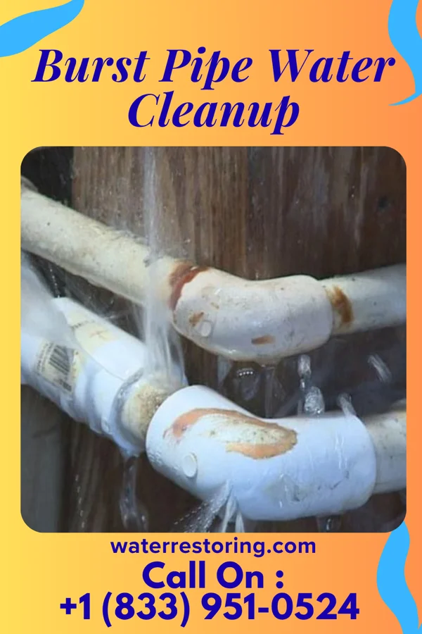 Burst Pipe Water Cleanup in Stover, MO
