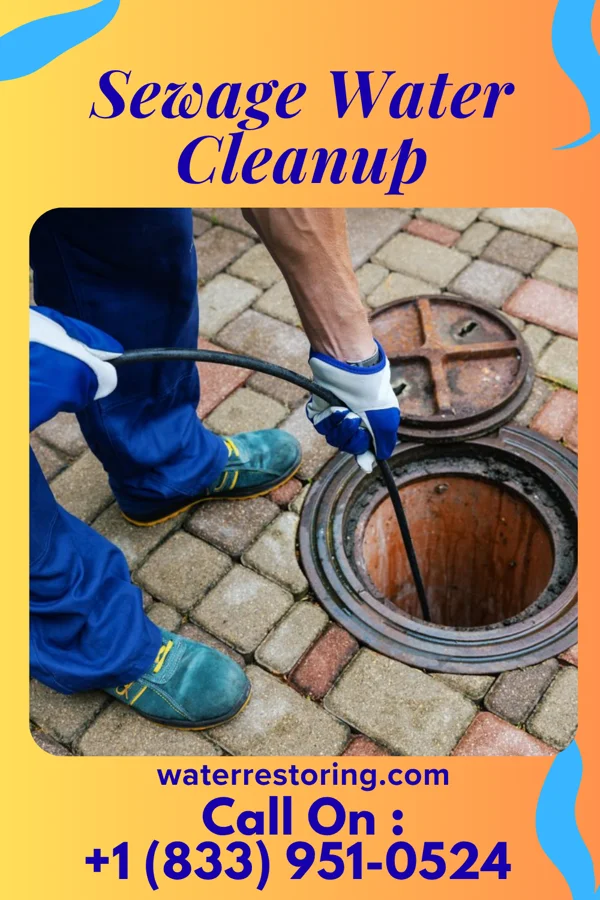 Sewage Water Cleanup in Stover, MO
